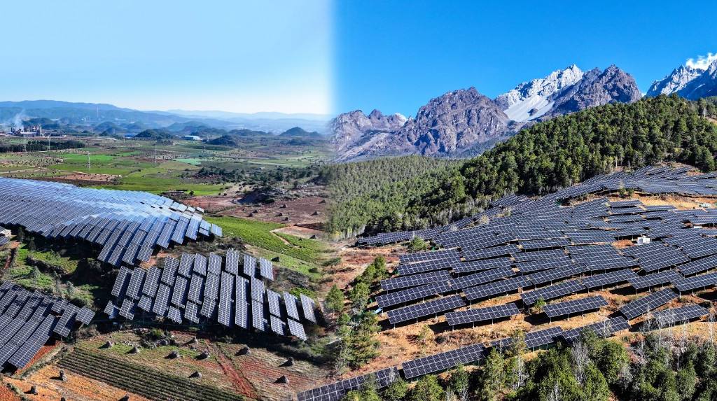 888���š����й������ٷ���վ